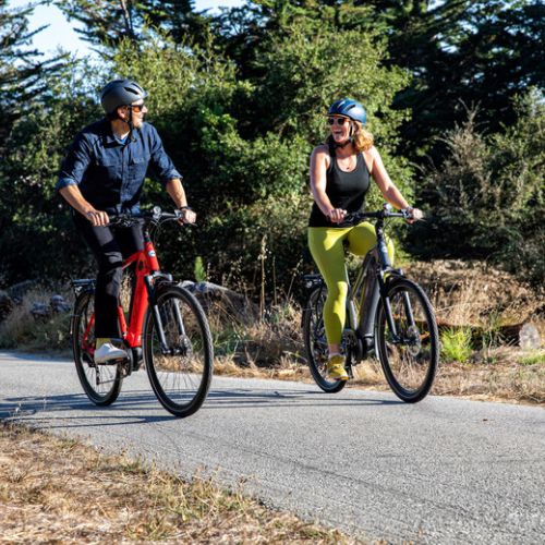 Think Green Transportation Canada