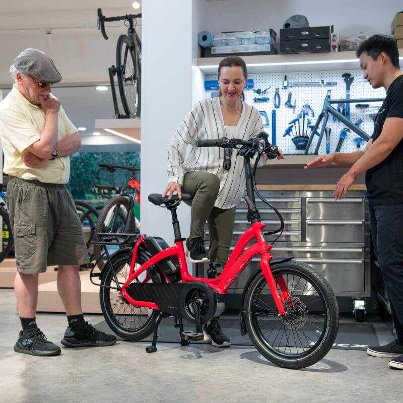 Electric Bikes That Are Kind to Bad Knees