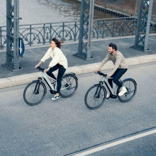 cruz electric bicycles Santa Bullit Mountain Bike disabled-variant:JAA Electric Bikes – Bait Colour:Horoscope Horizons - Pastel Type drivetrain
