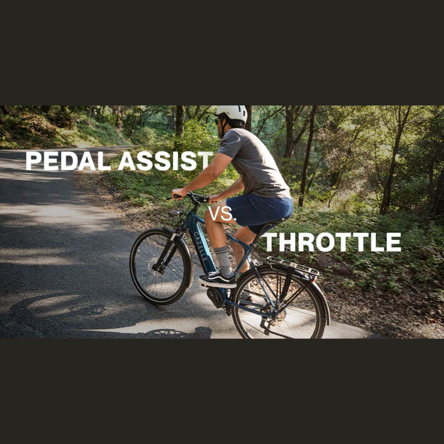 E bikes with pedal assist and throttle online
