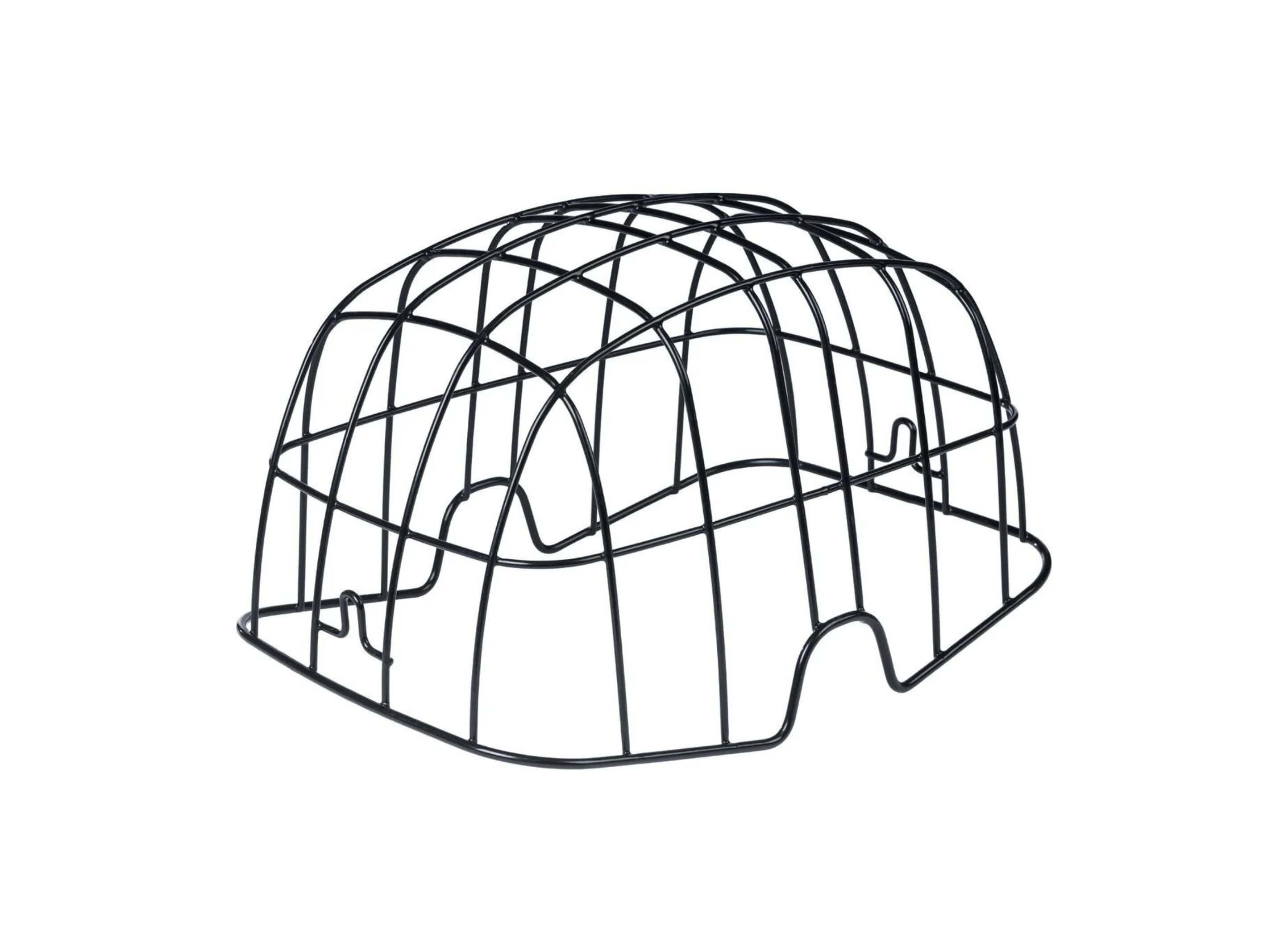 Basil Buddy Space Frame