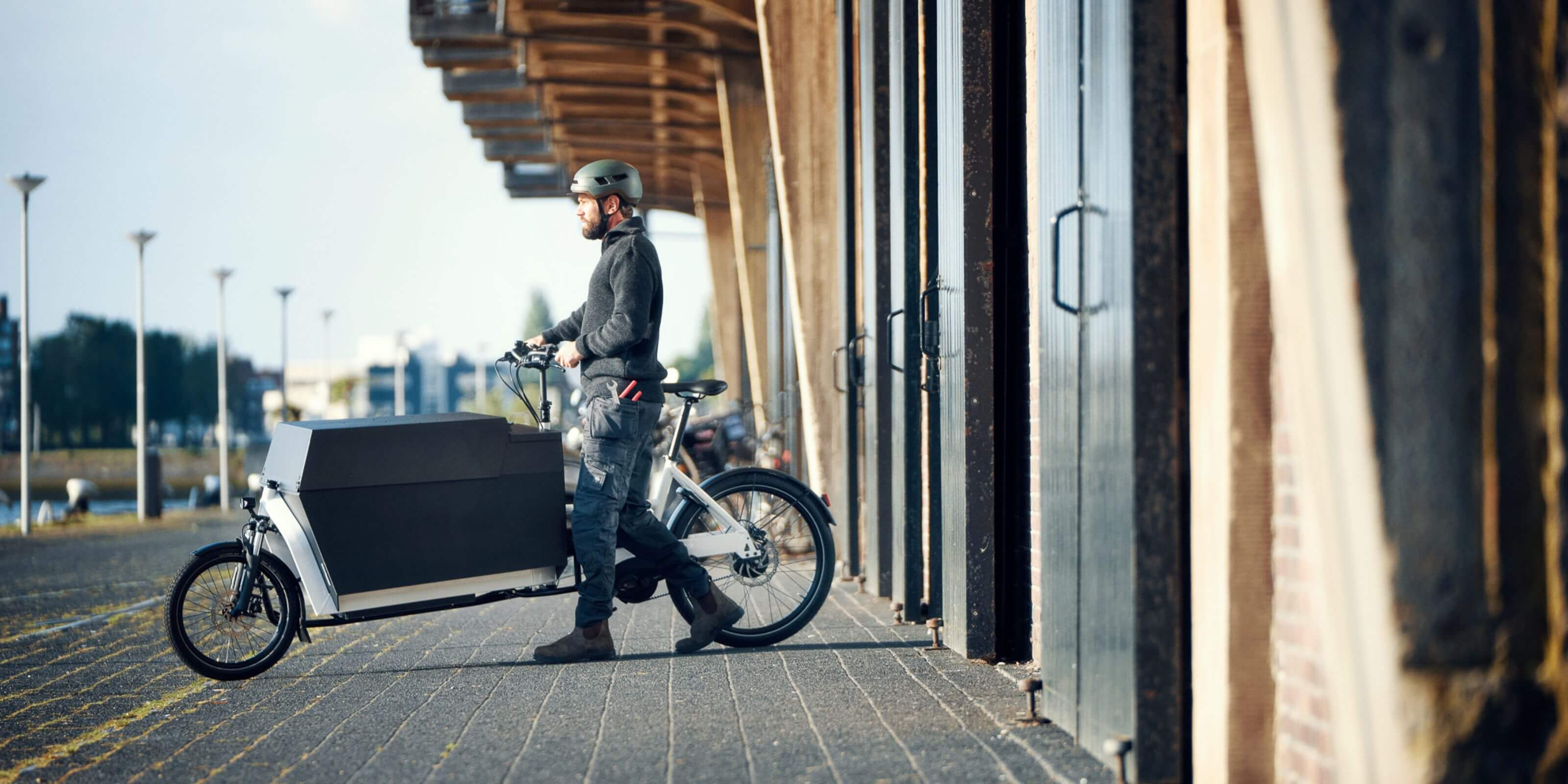 Electric Bike Service