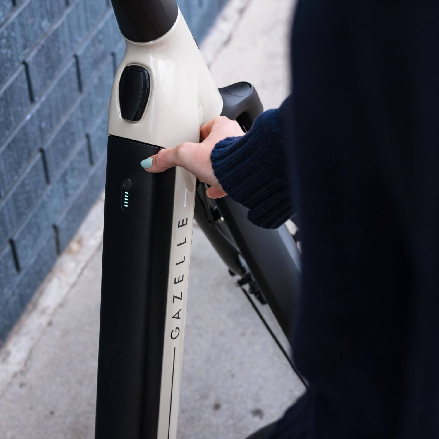 Gazelle Arroyo C5 Elite Battery