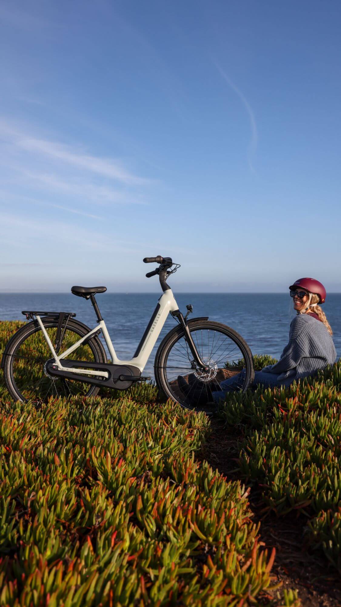 Gazelle Arroyo C8 premium electric bike Canada available at Scooteretti