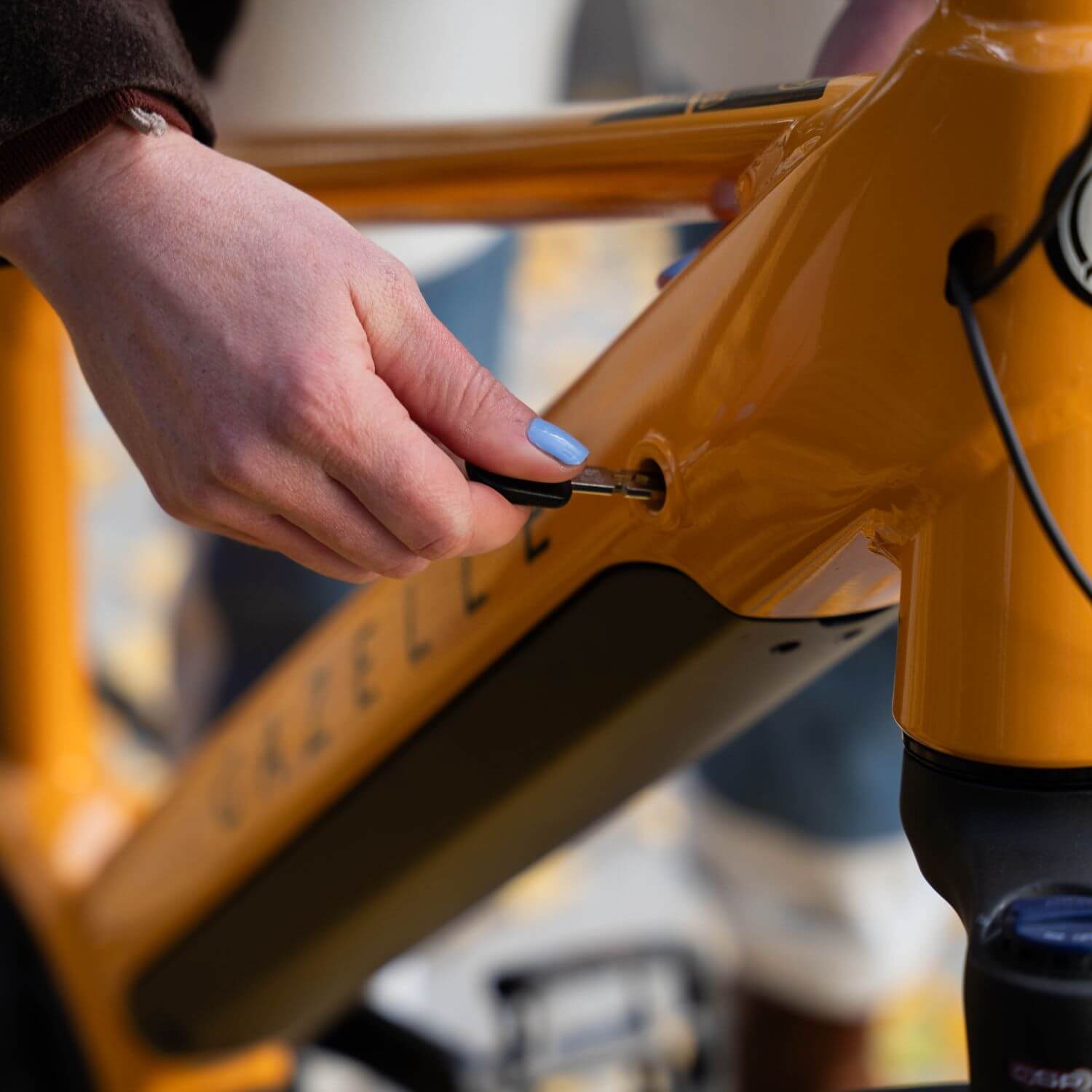 Gazelle Medeo T10 Battery