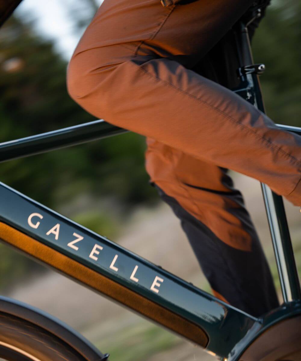 Gazelle Medeo T10 Canada