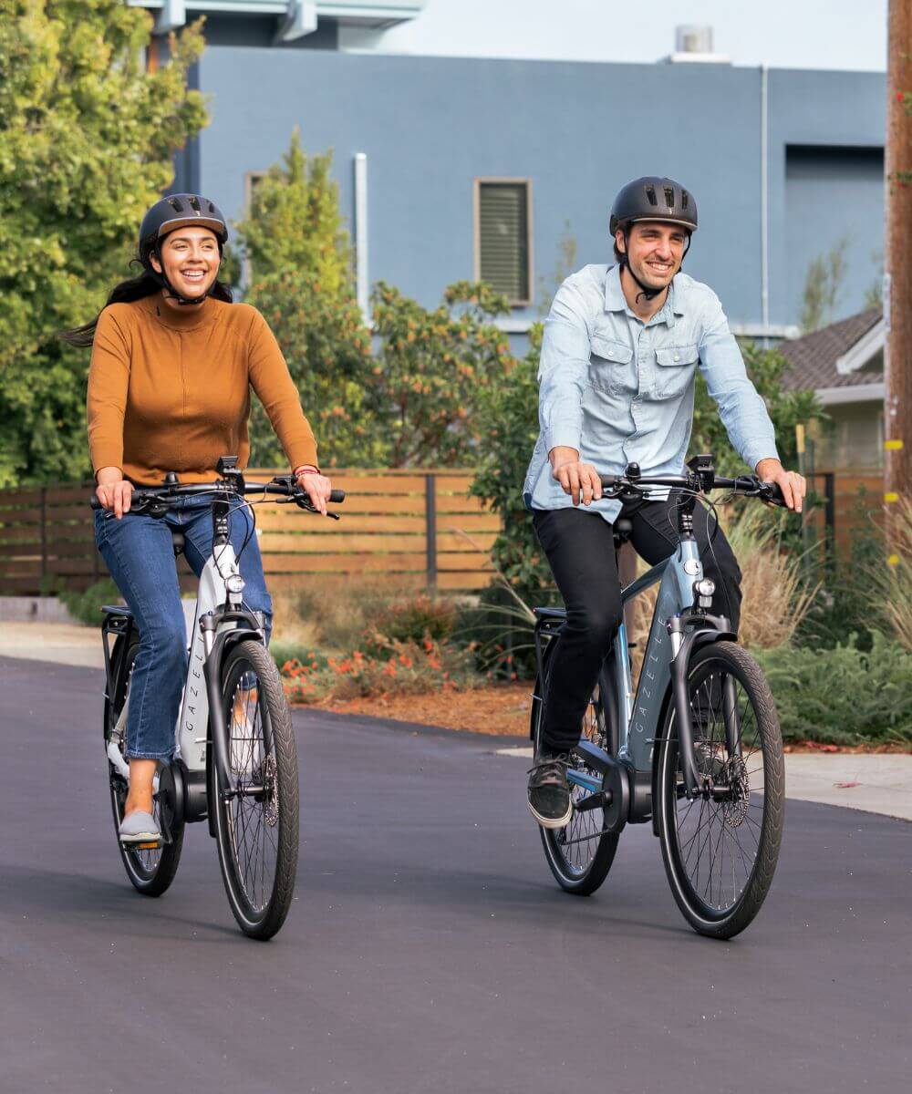 Gazelle T10 Electric Bike