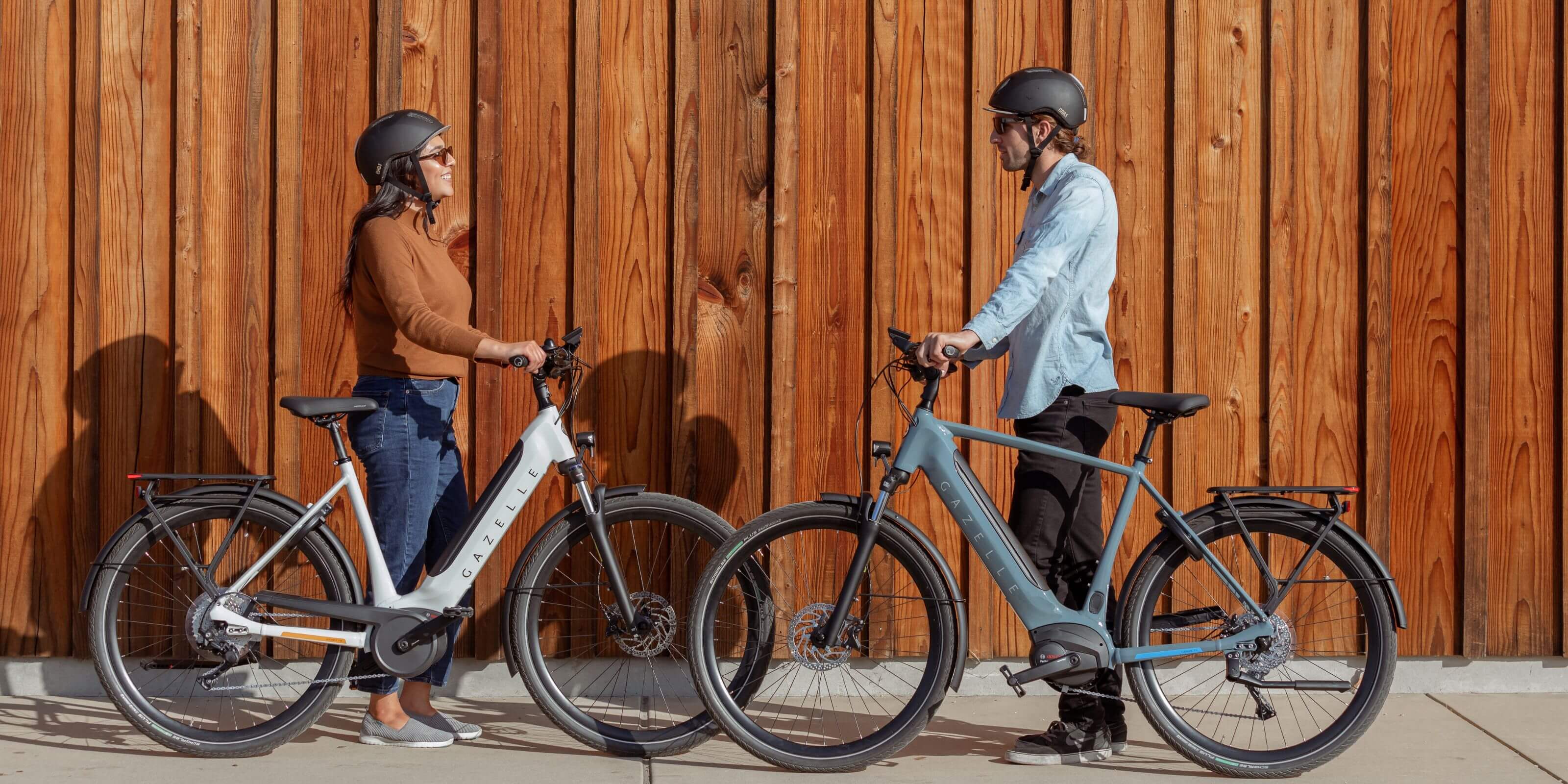 Gazelle Ultimate T10