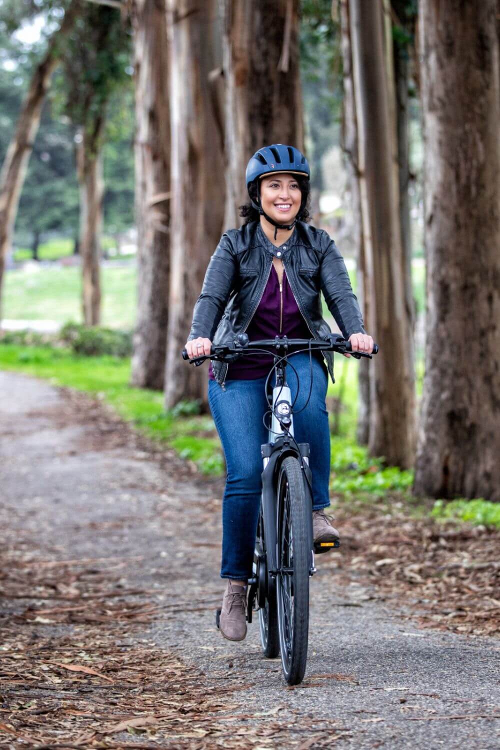 Gazelle ebikes Ottawa