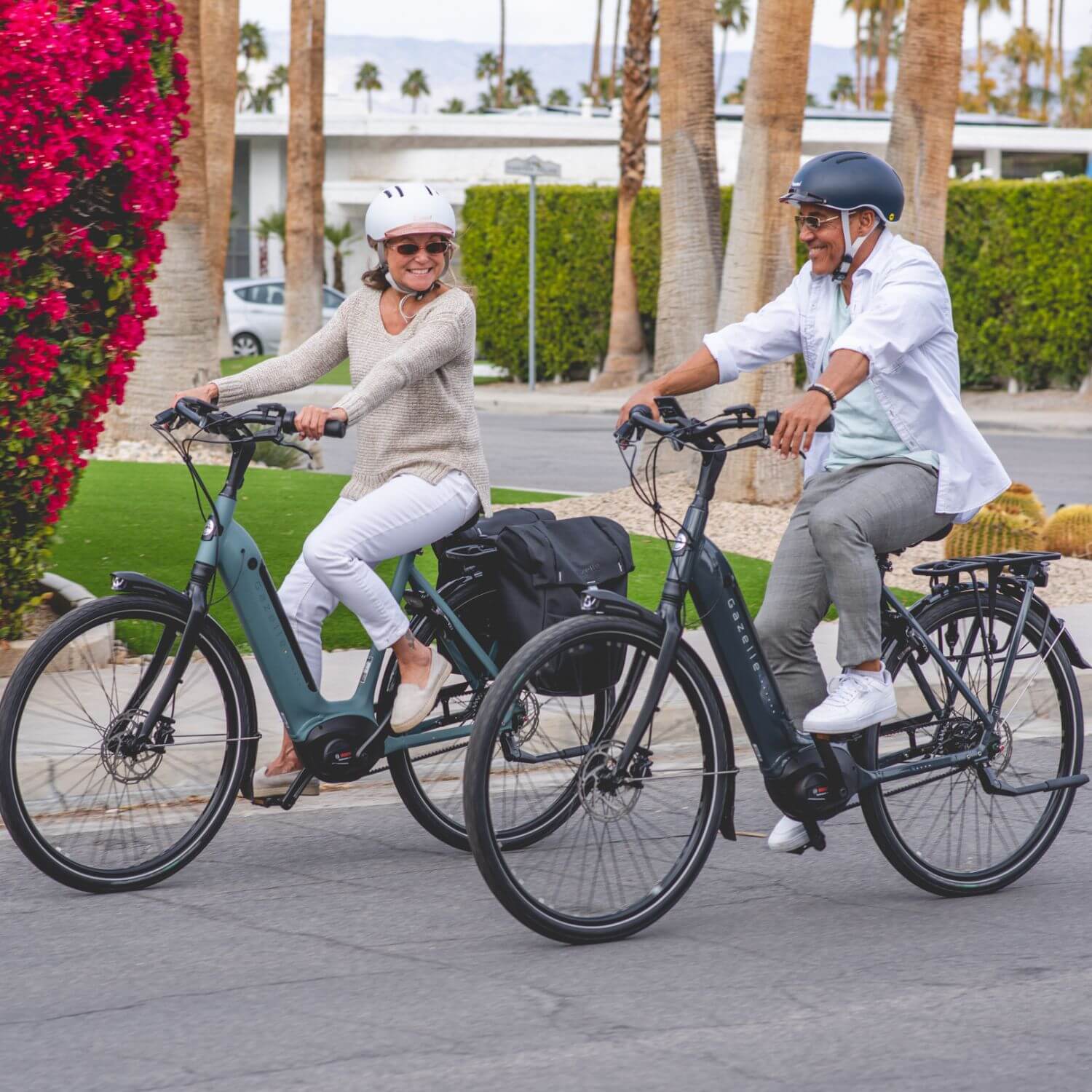 Gazelle electric bikes quebec