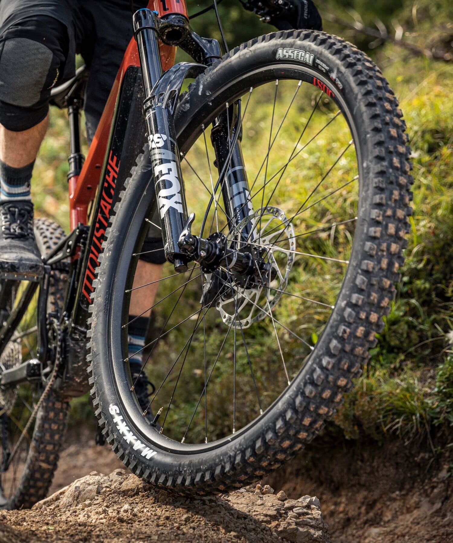 Mountain Bike Tires