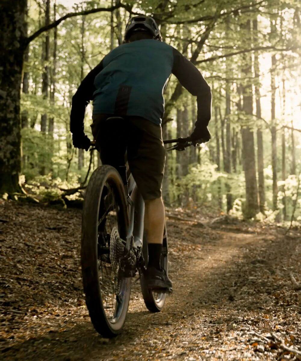 Orbea electric hardtail bikes