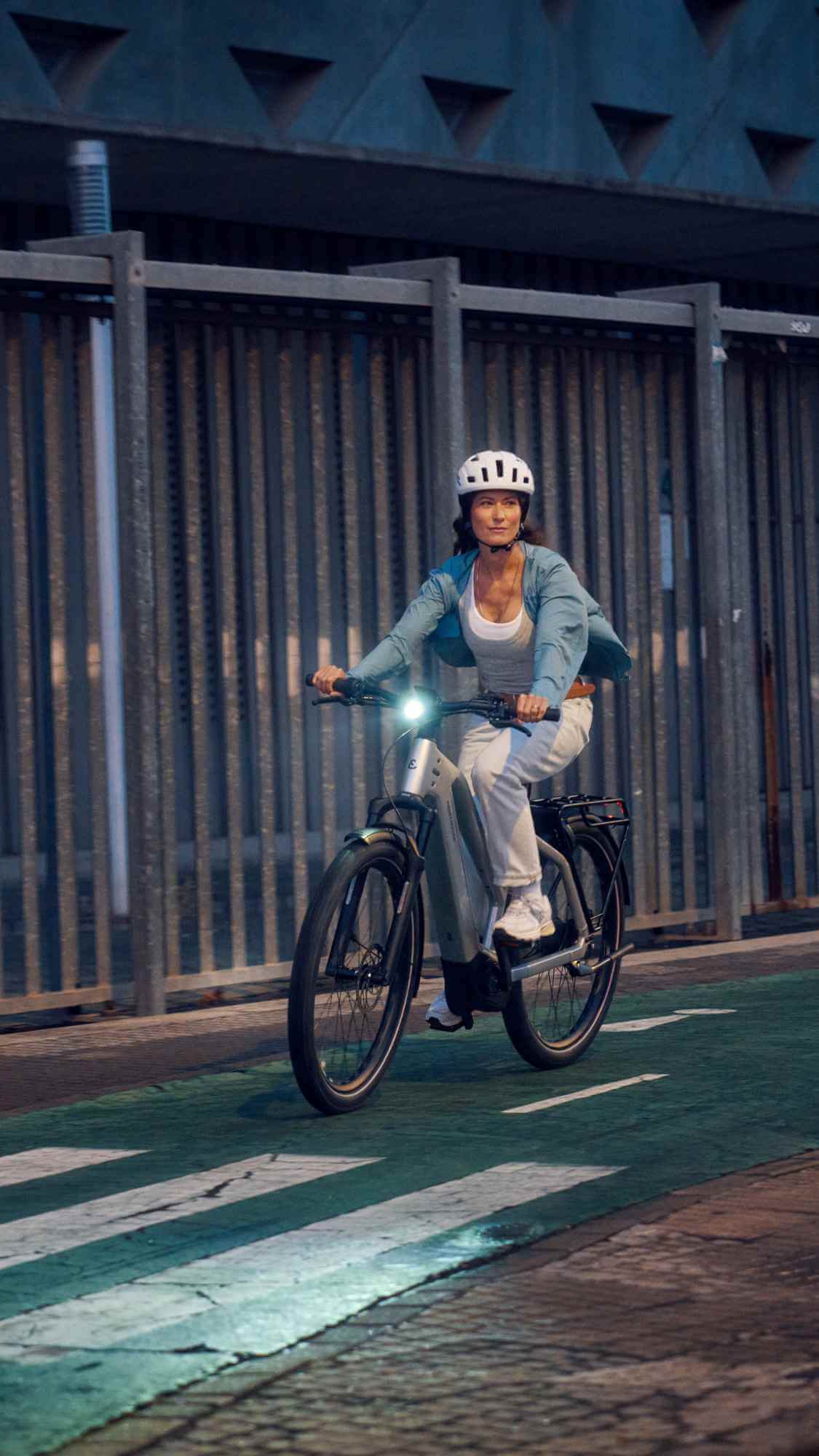 Riese & Muller Charger5 Mixte