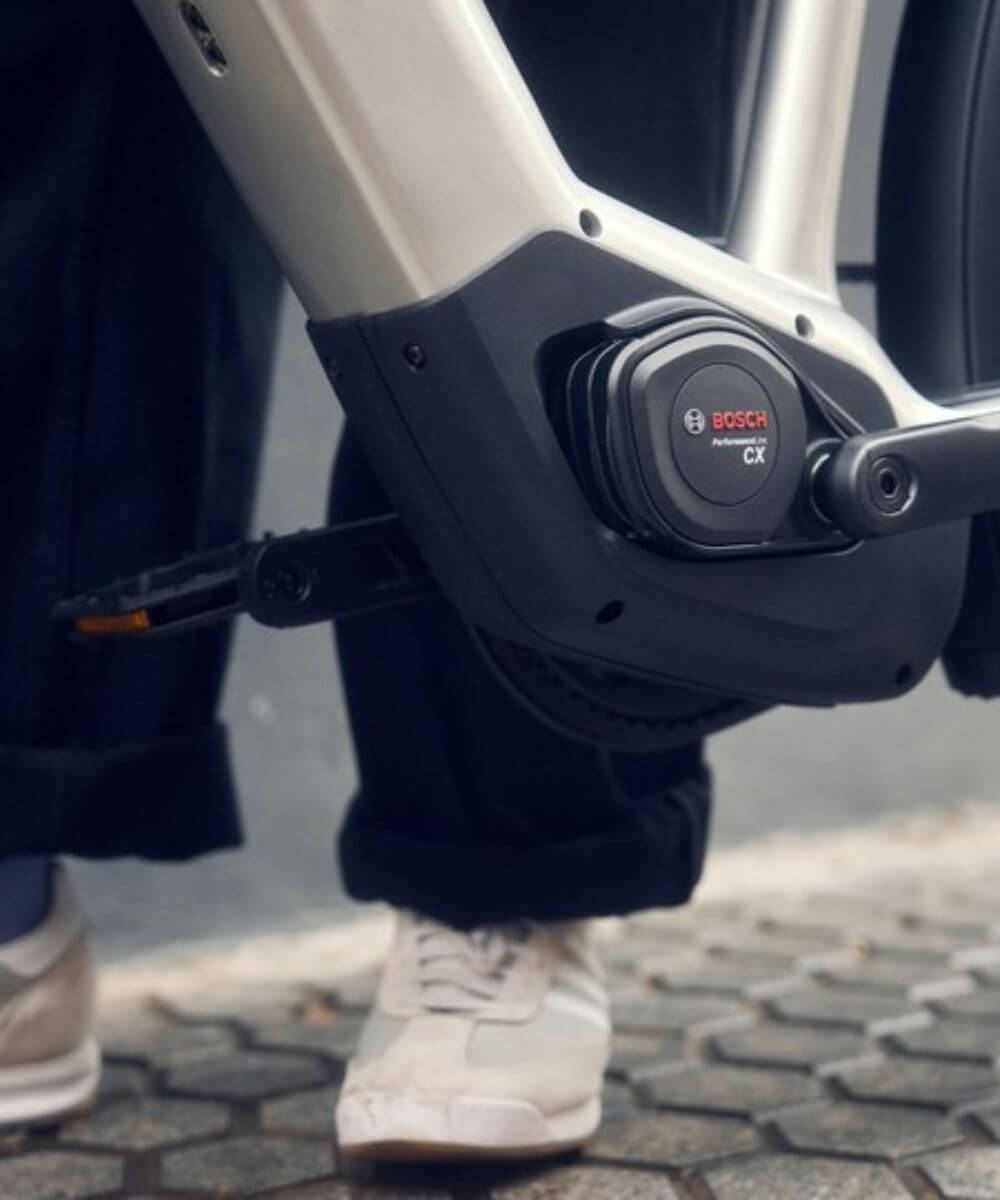 Riese & Müller Charger5