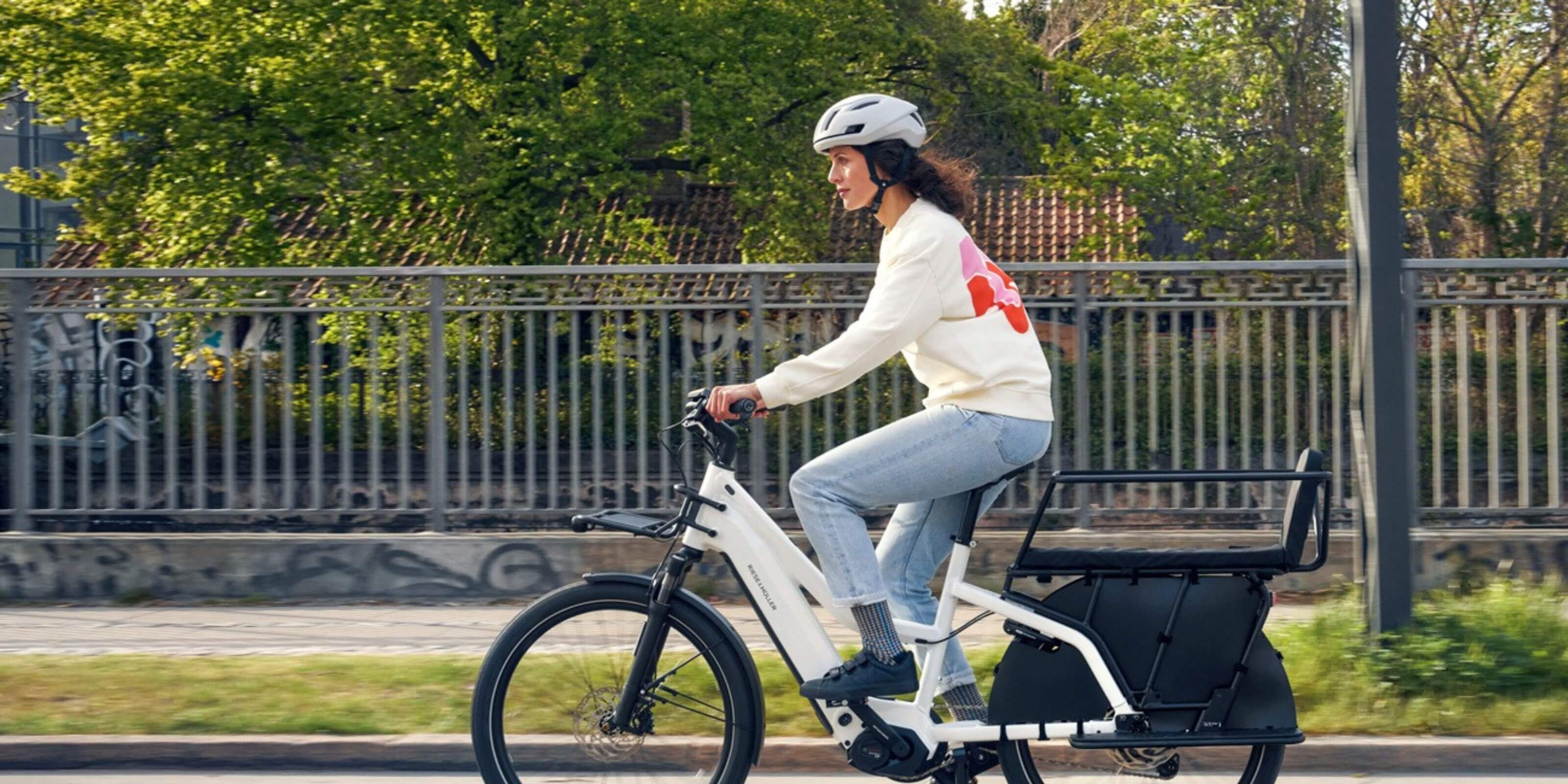 Riese & Muller Multicharger3 Mixte