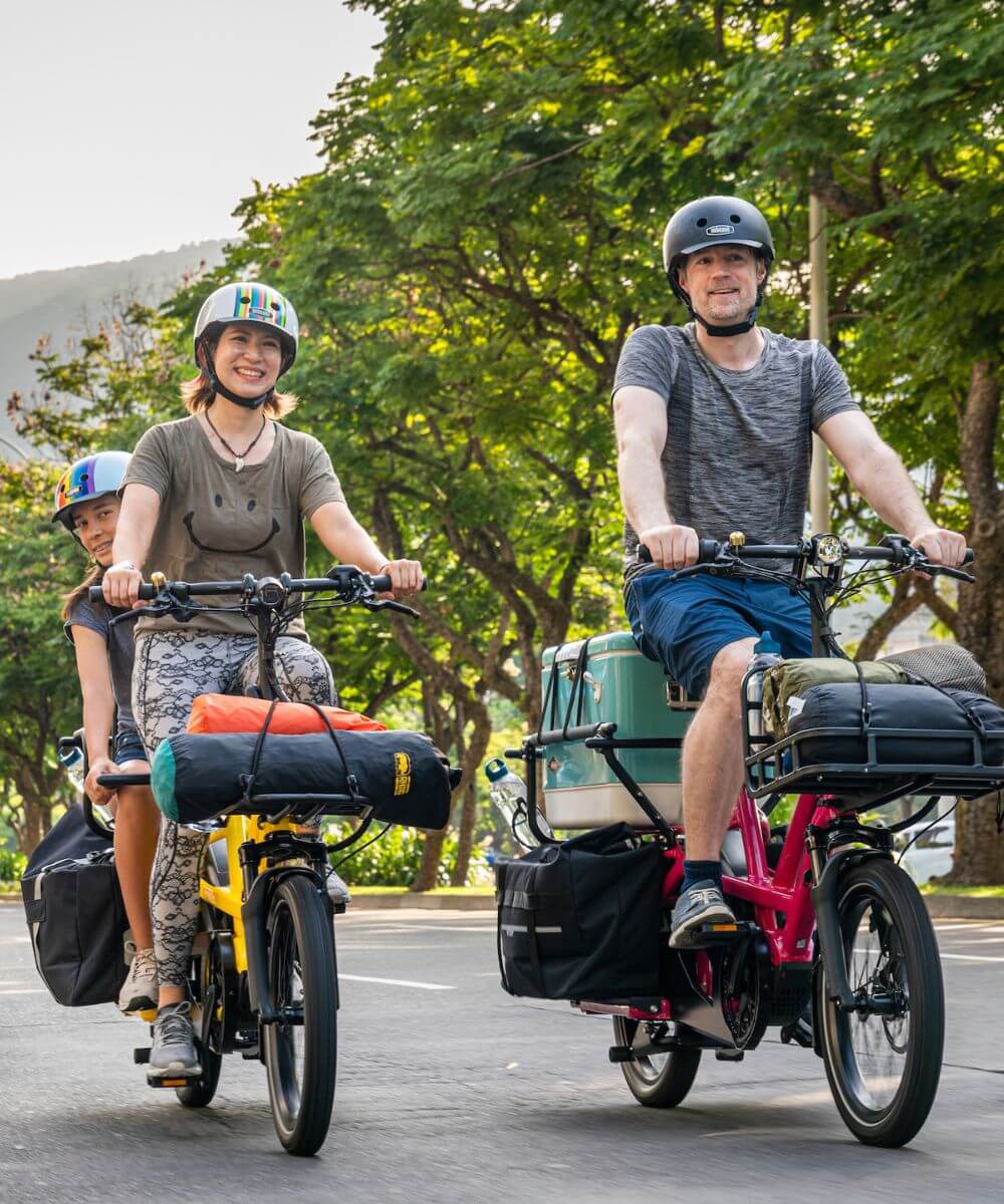 Tern Cargo Bike