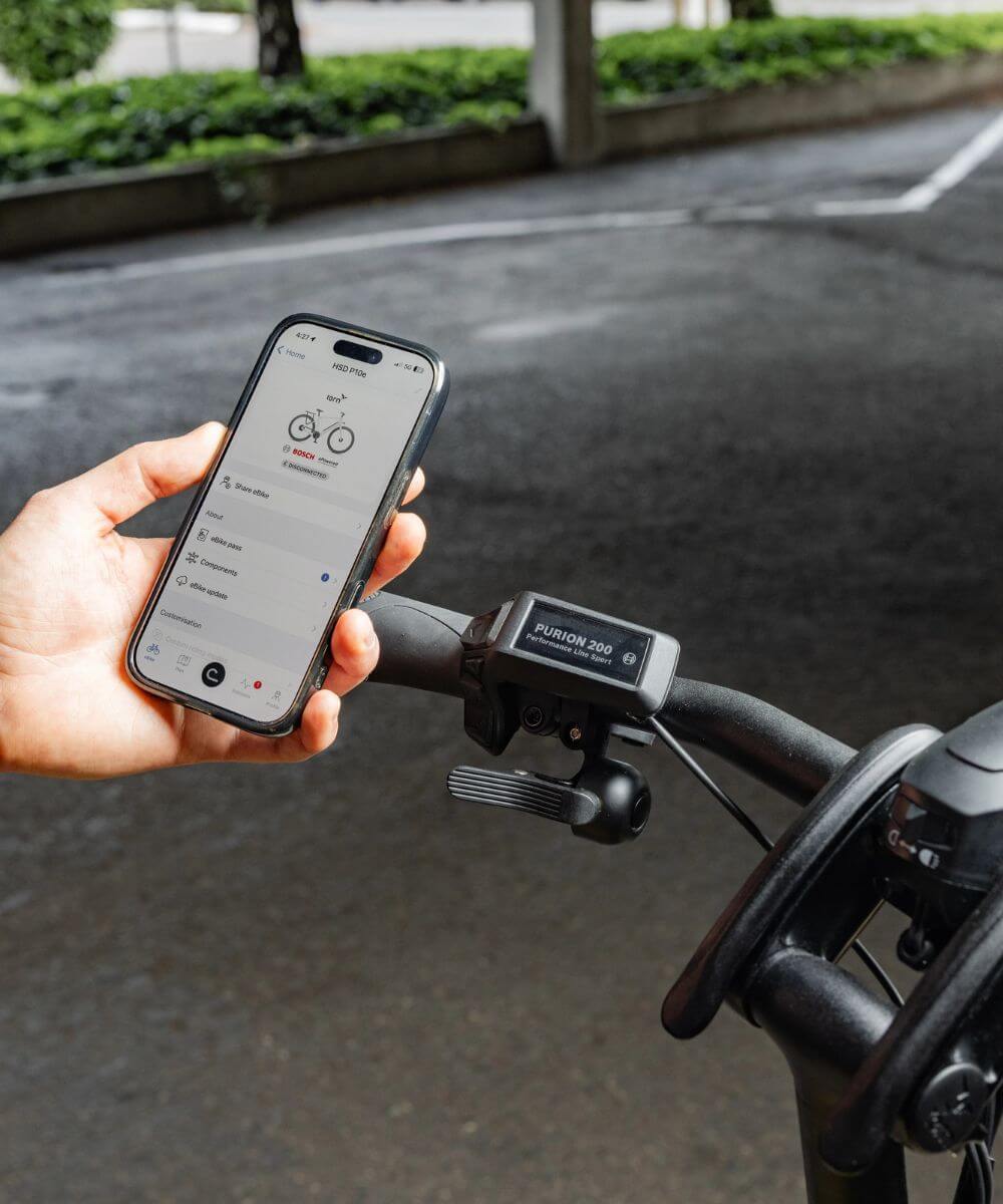 Tern HSD P00 Display and Bluetooth Compatibility