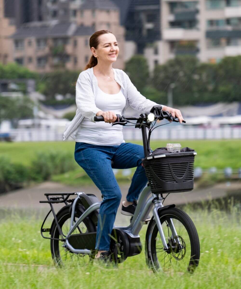 Tern NBD S5i electric bike