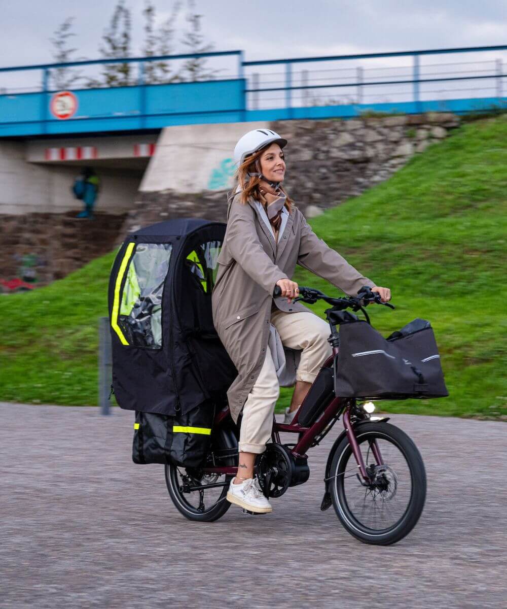 Tern ebikes