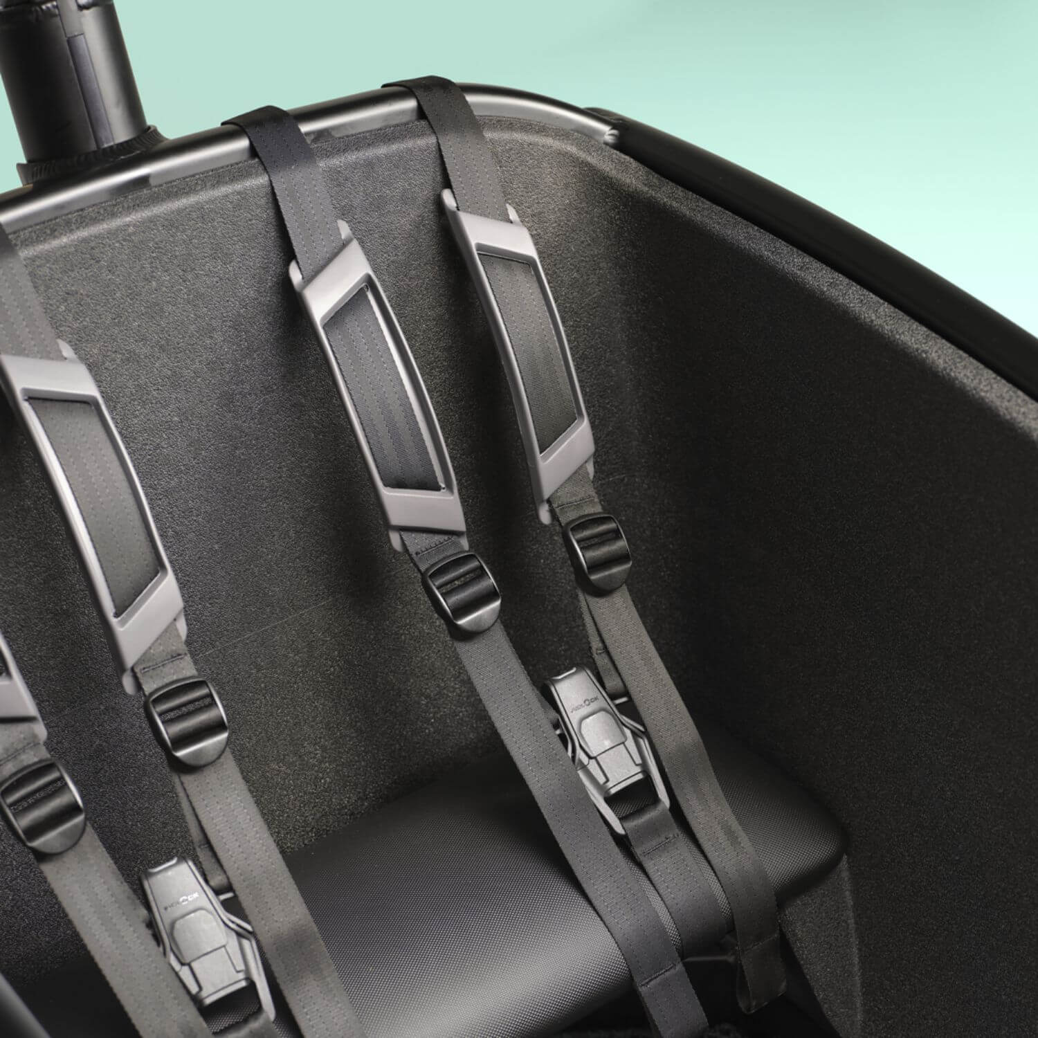 Urban Arrow FamilyNext Seatbelts