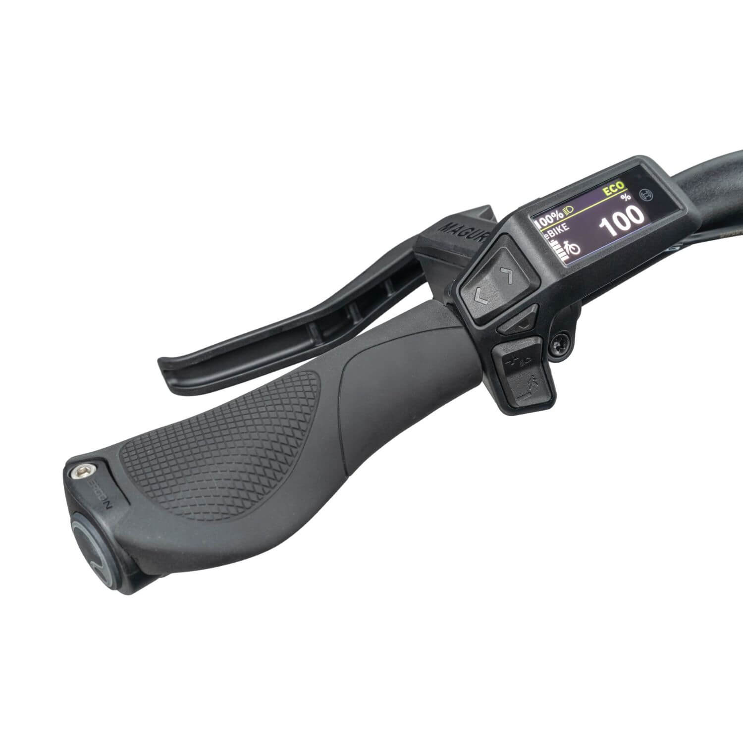 scooteretti tern hsd p00 bosch purion 200 display