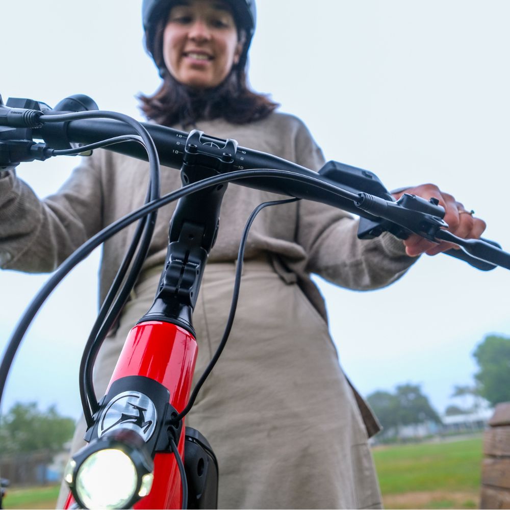 Best Buy Electric Bike