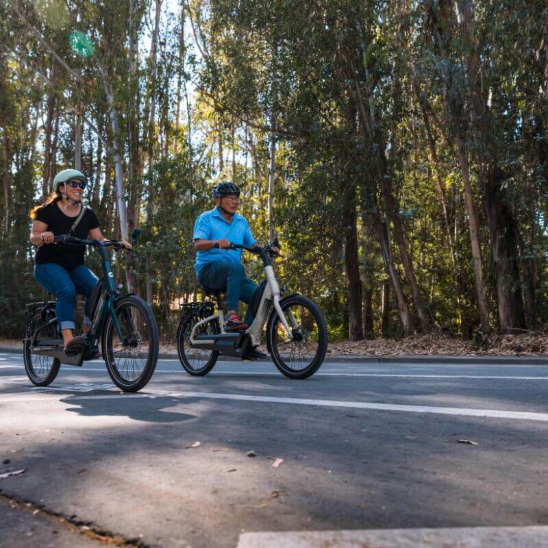 Gazelle EasyFlow C7 step-through electric bike Ottawa