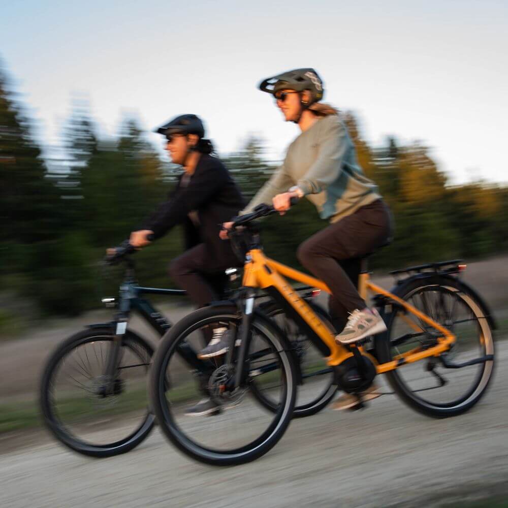 Gazelle Medeo T10