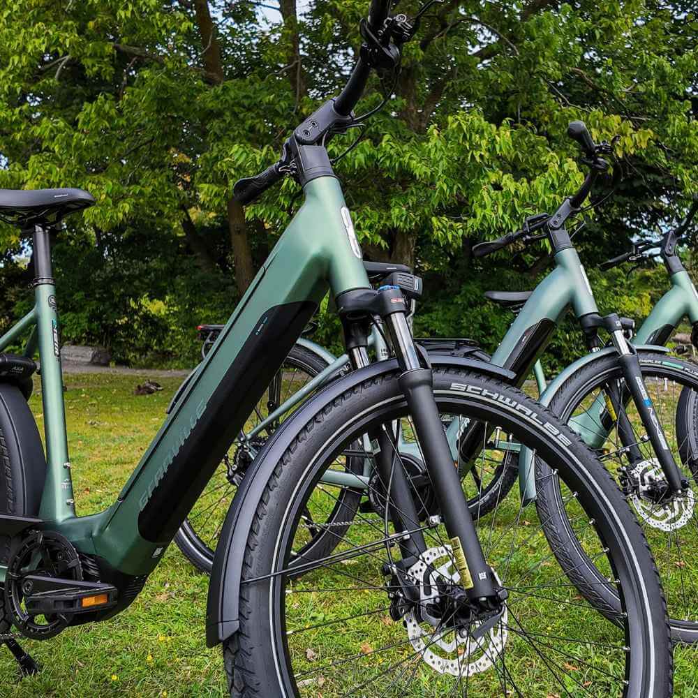 Granville E-Terra N2 Wave step-through e-bike