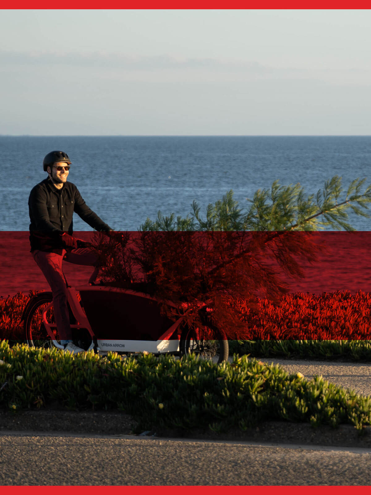 business cargo bikes