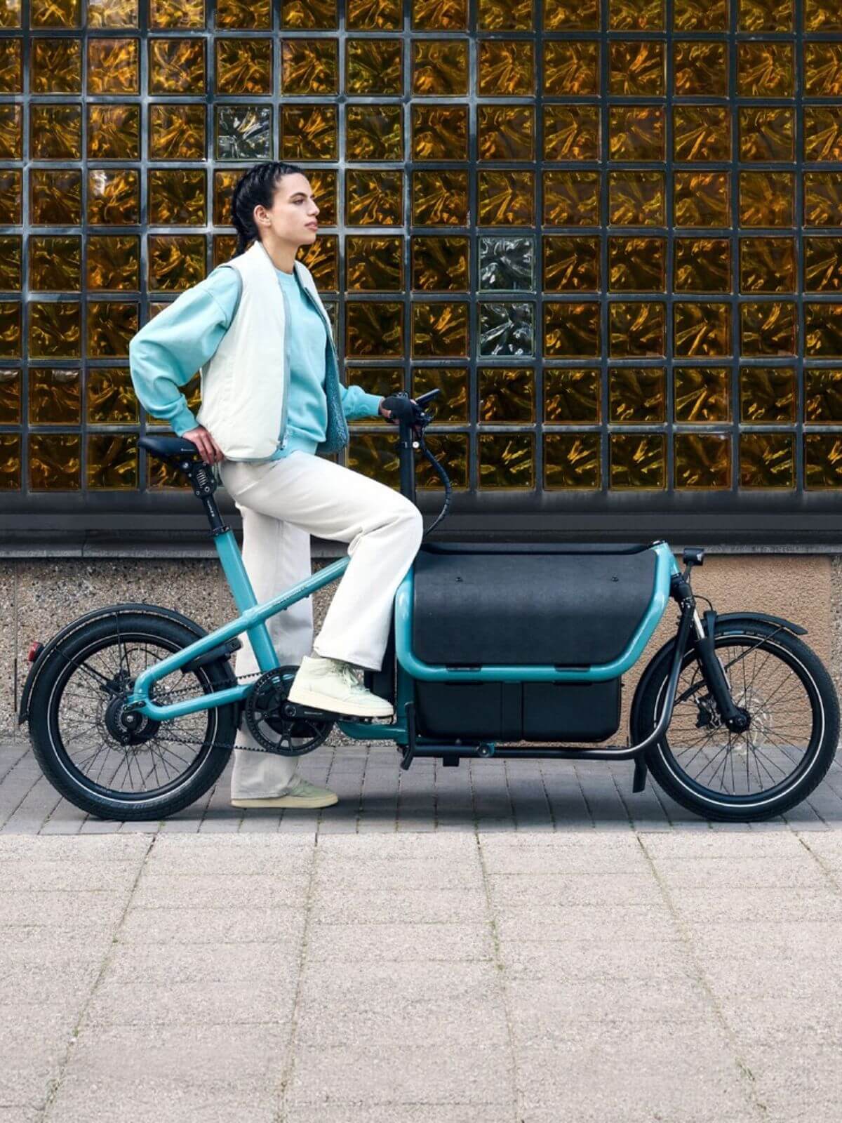 Electric Cargo Bike