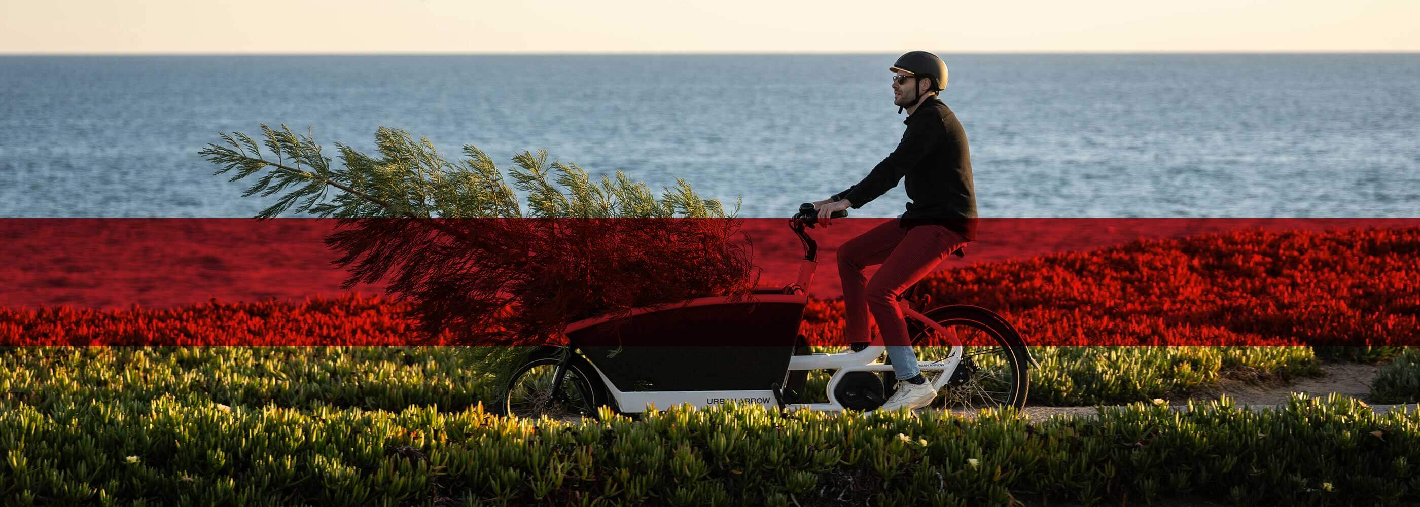 electric cargo bikes for business