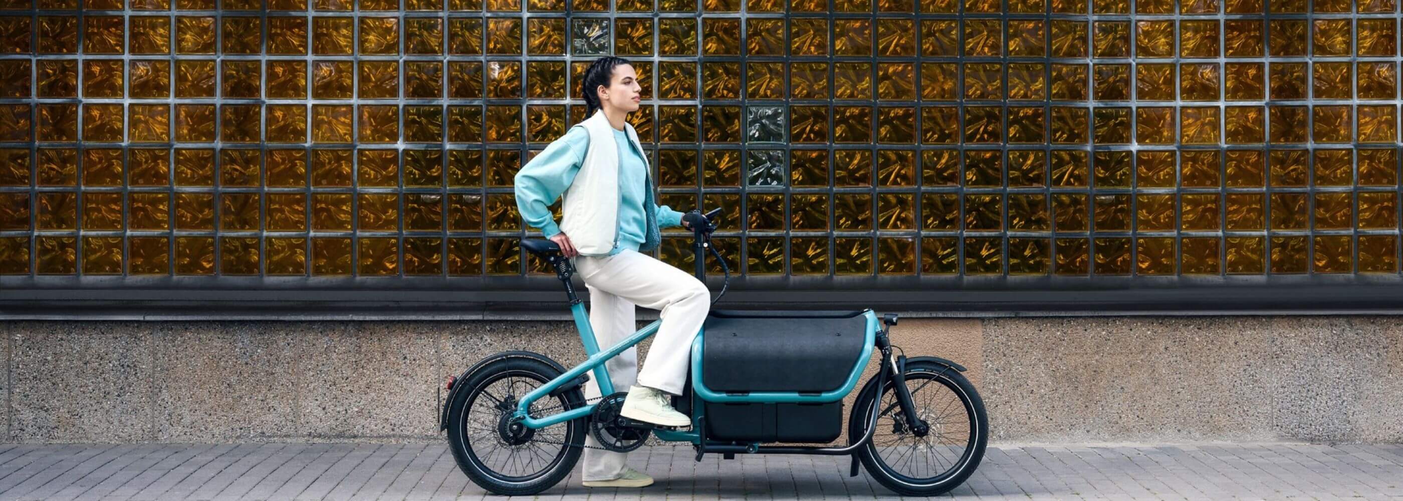 Electric Cargo Bikes