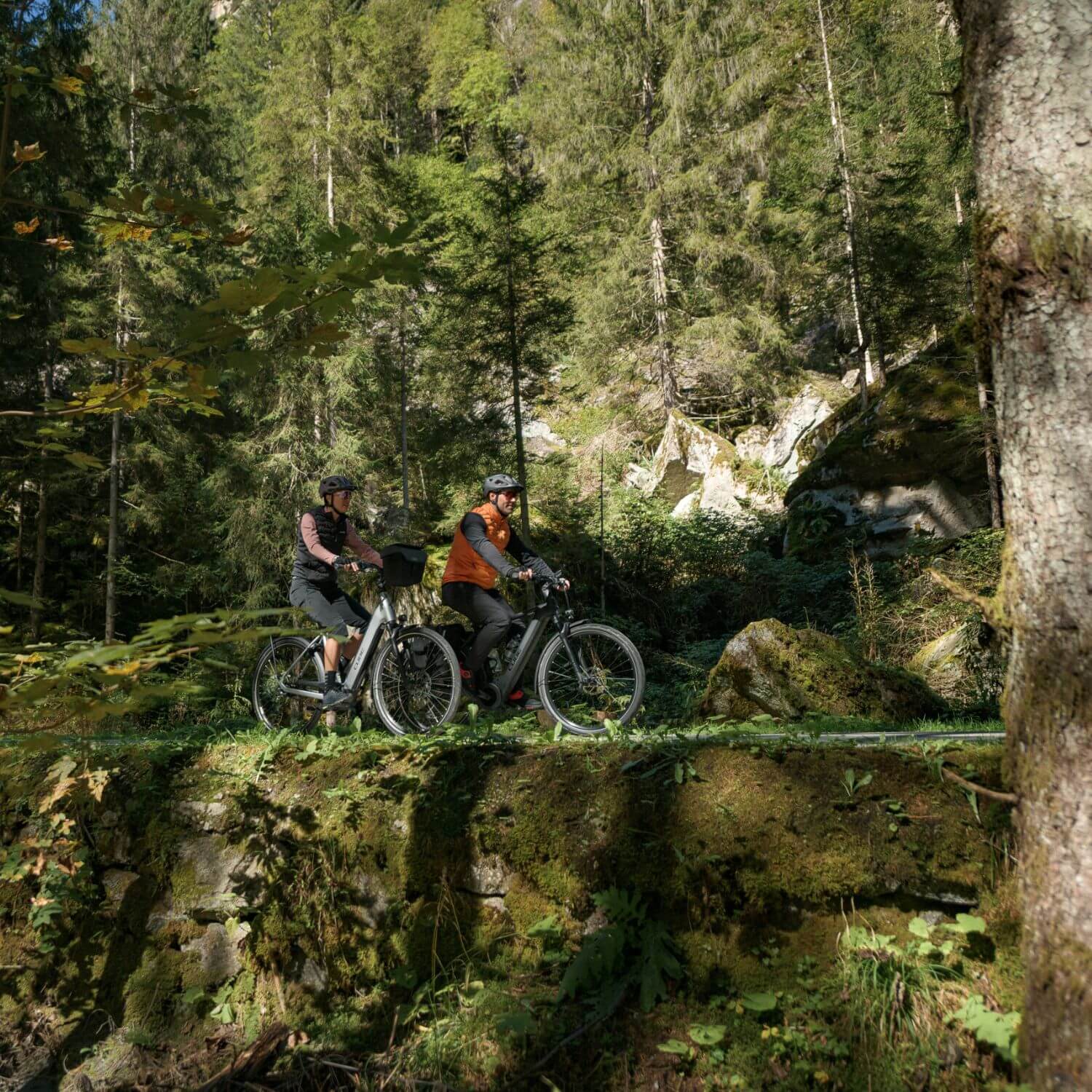 Electric bikes mont tremblant prices