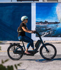Gazelle EasyFlow C7 step through electric bike