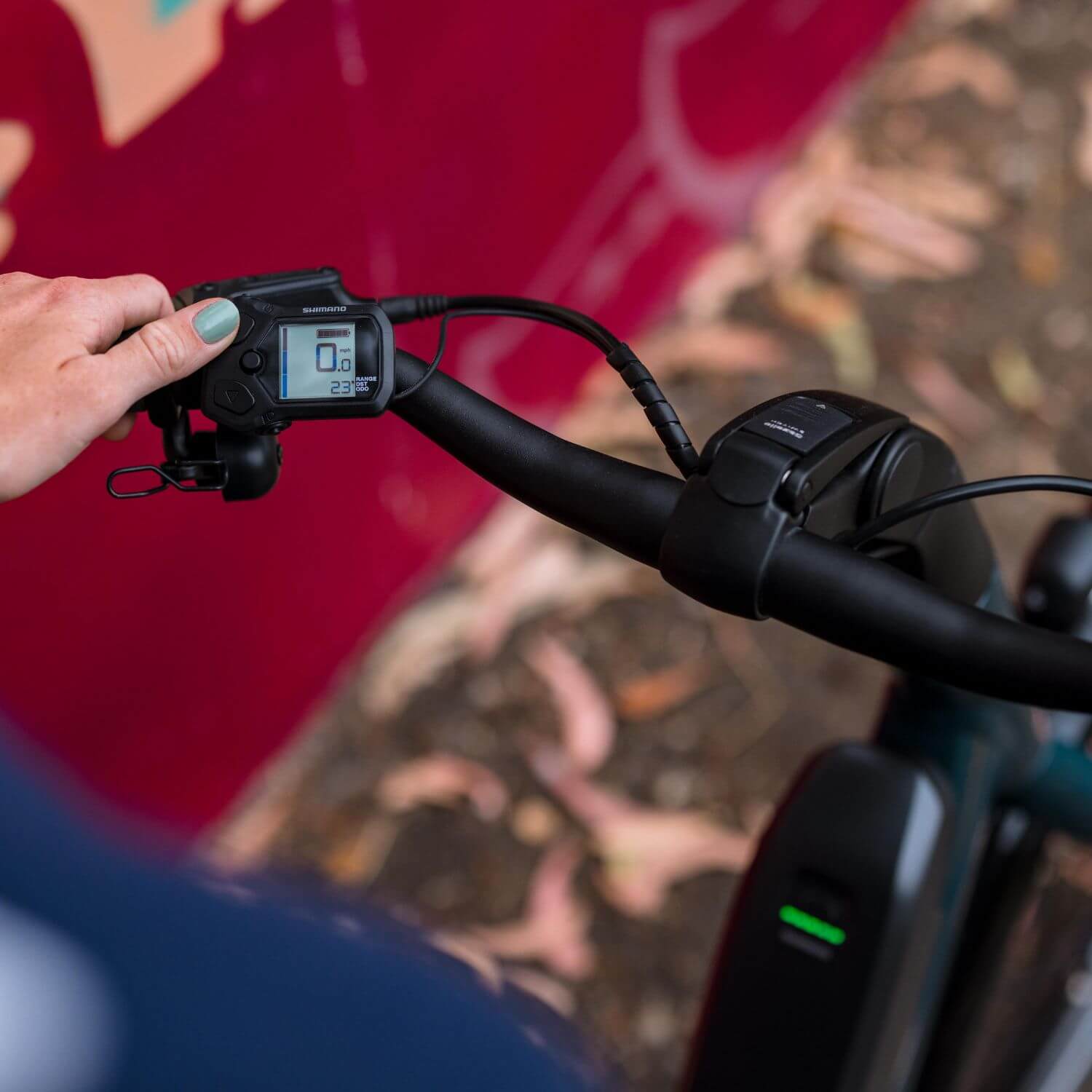 Gazelle Easy Flow Display