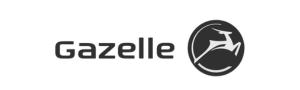 Gazelle Electric Bikes Ottawa