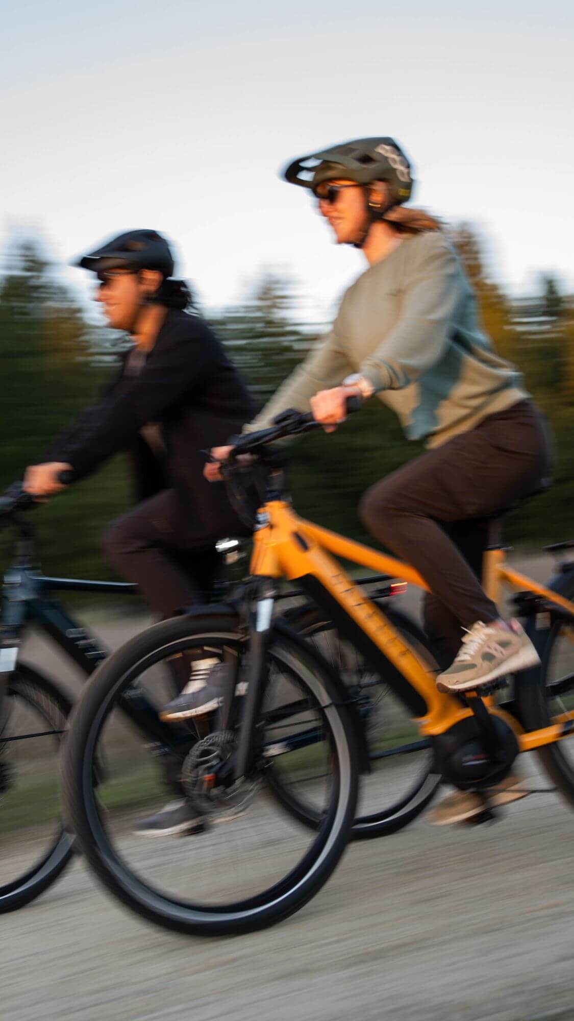 Gazelle Medeo T10
