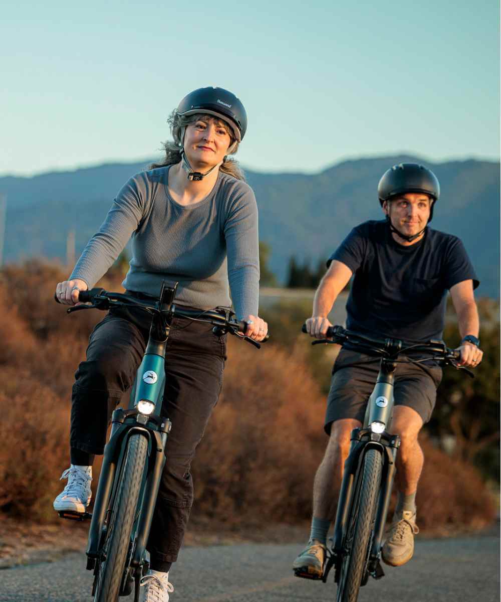 Gazelle Ultimate T10 electric bikes