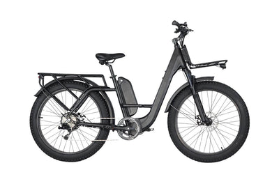 other ebike brands