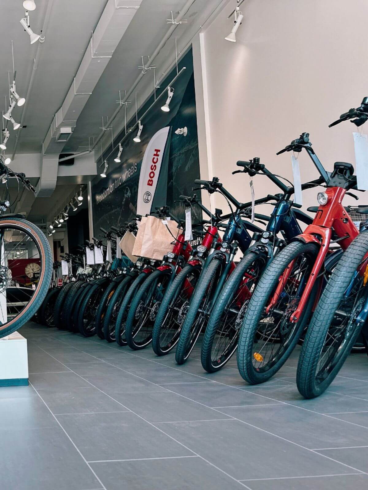 Premium electric bikes on display inside Scooteretti Ottawa showroom