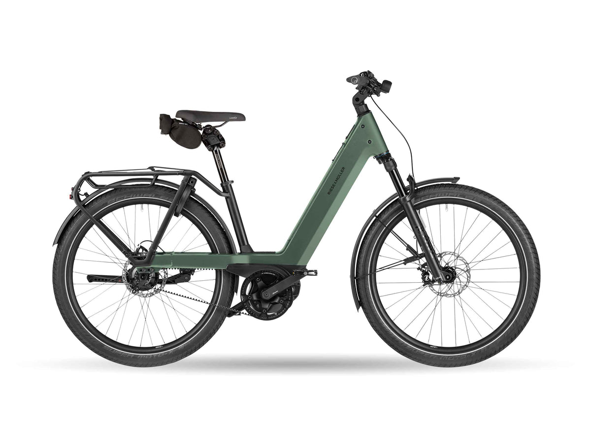 Riese Muller Nevo5 Rohloff Moss