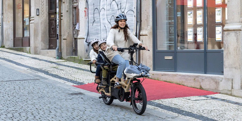 Tern GSD P10 cargo bike