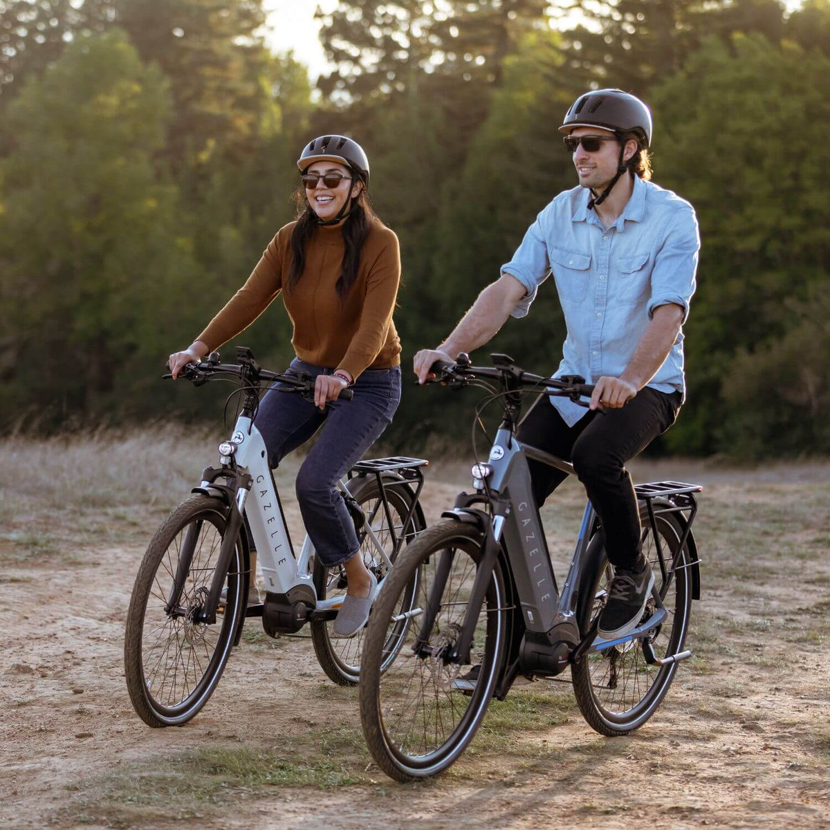 Victoria Electric Bikes