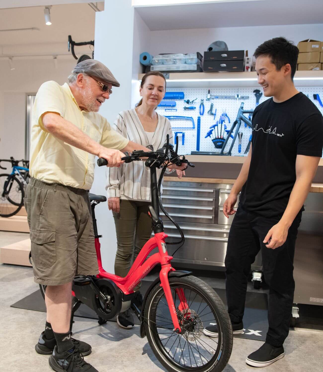 ebike consultation