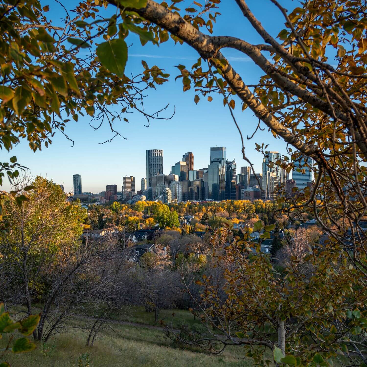 ebikes calgary