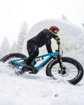 electric fat bikes