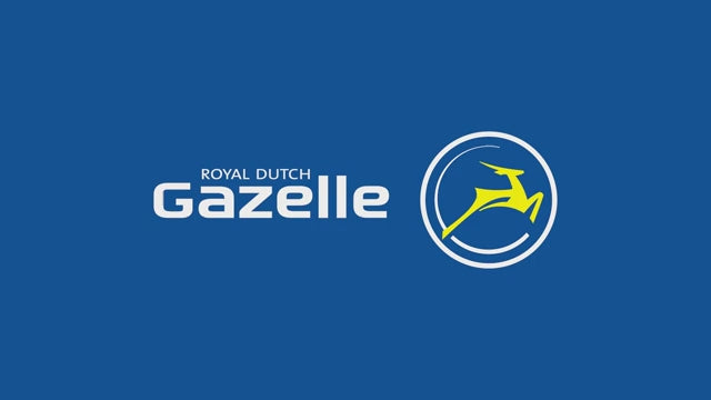 Gazelle Single Pannier